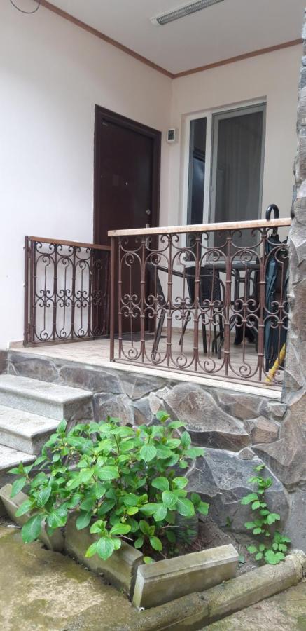 Ira & Vaso'S Guest House Borjomipark Exterior photo