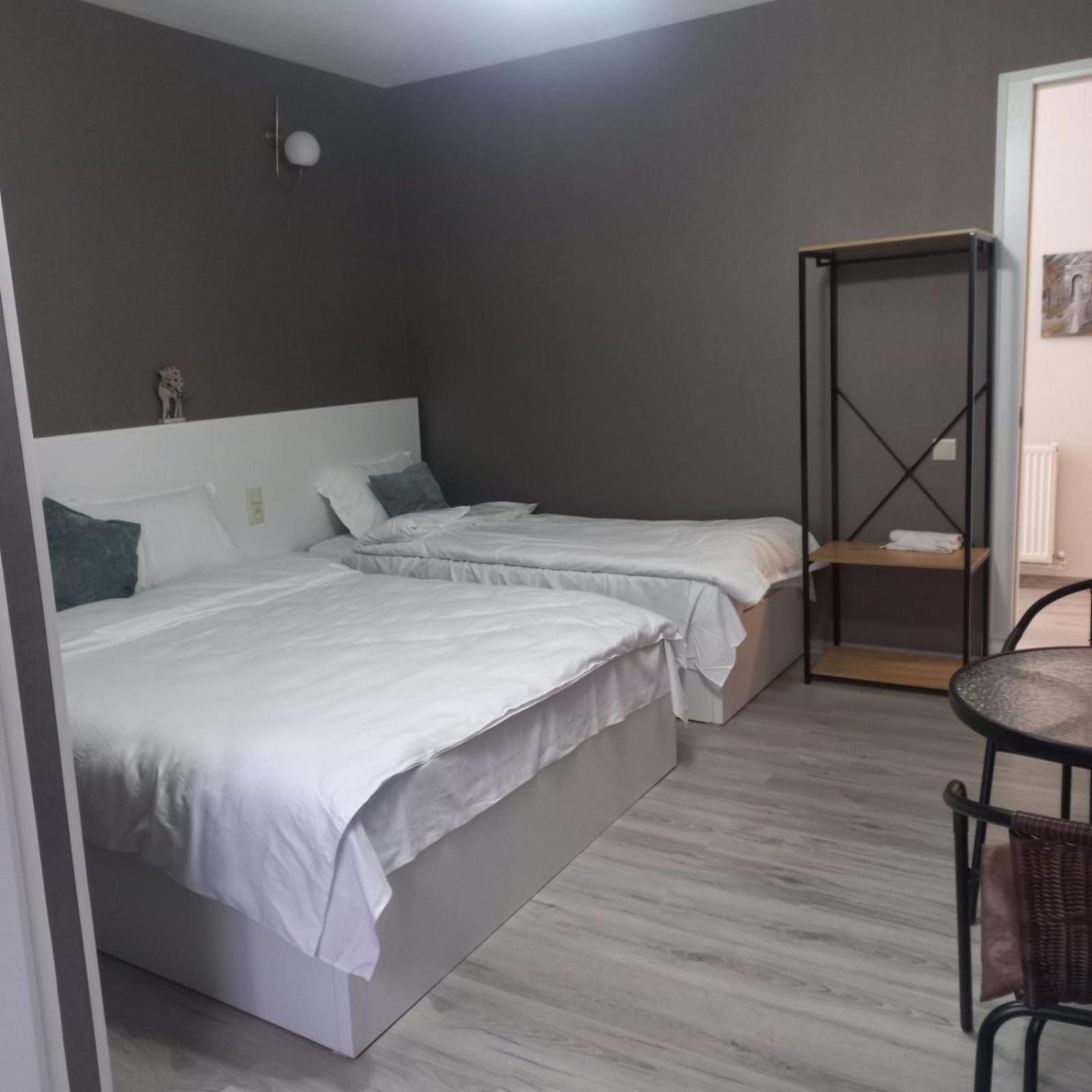 Ira & Vaso'S Guest House Borjomipark Room photo