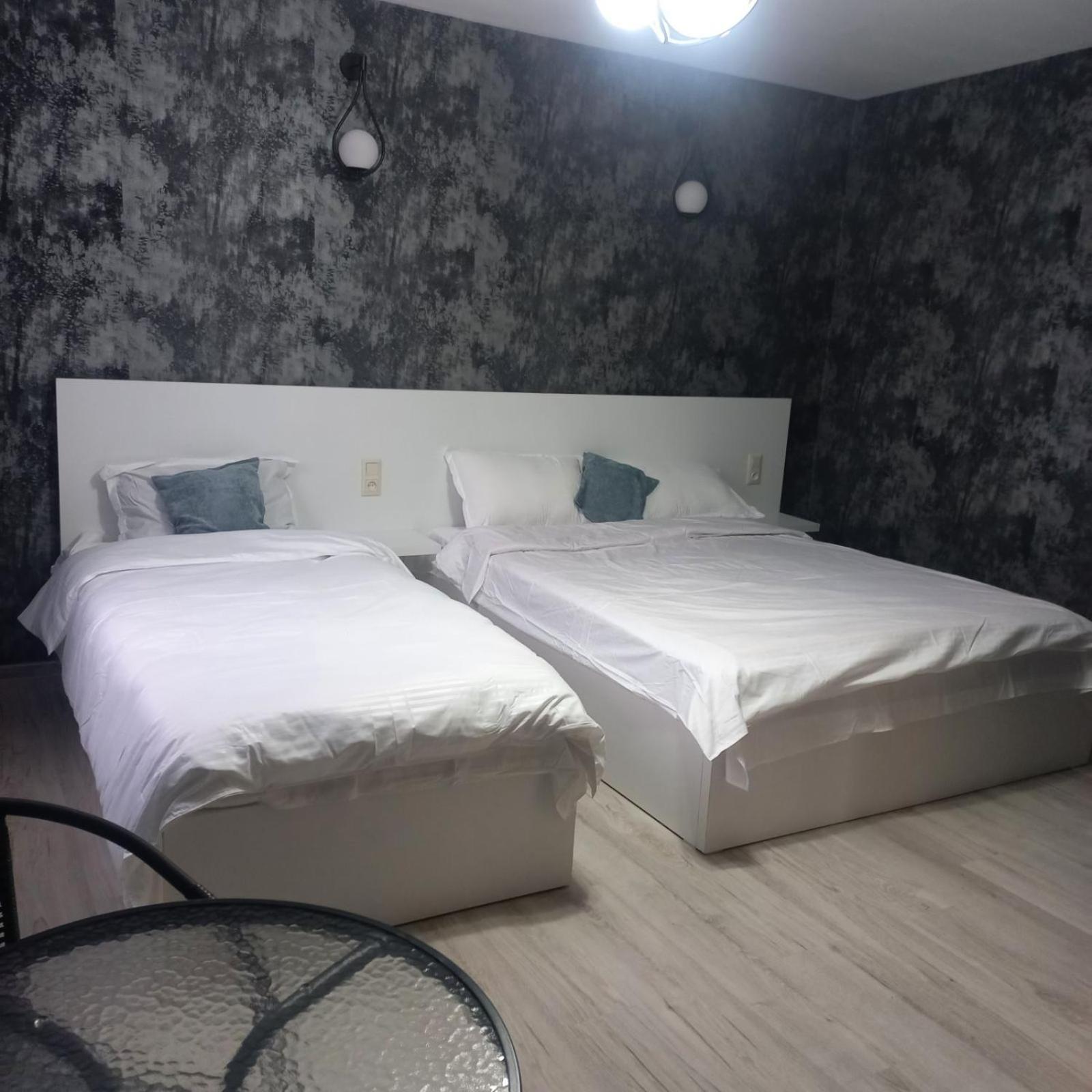 Ira & Vaso'S Guest House Borjomipark Room photo