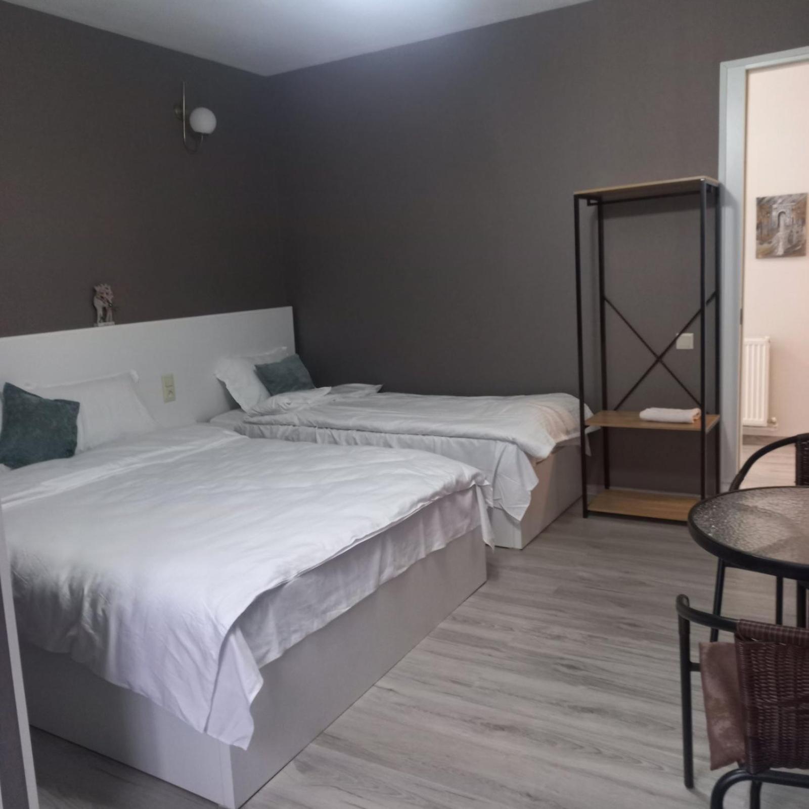 Ira & Vaso'S Guest House Borjomipark Room photo